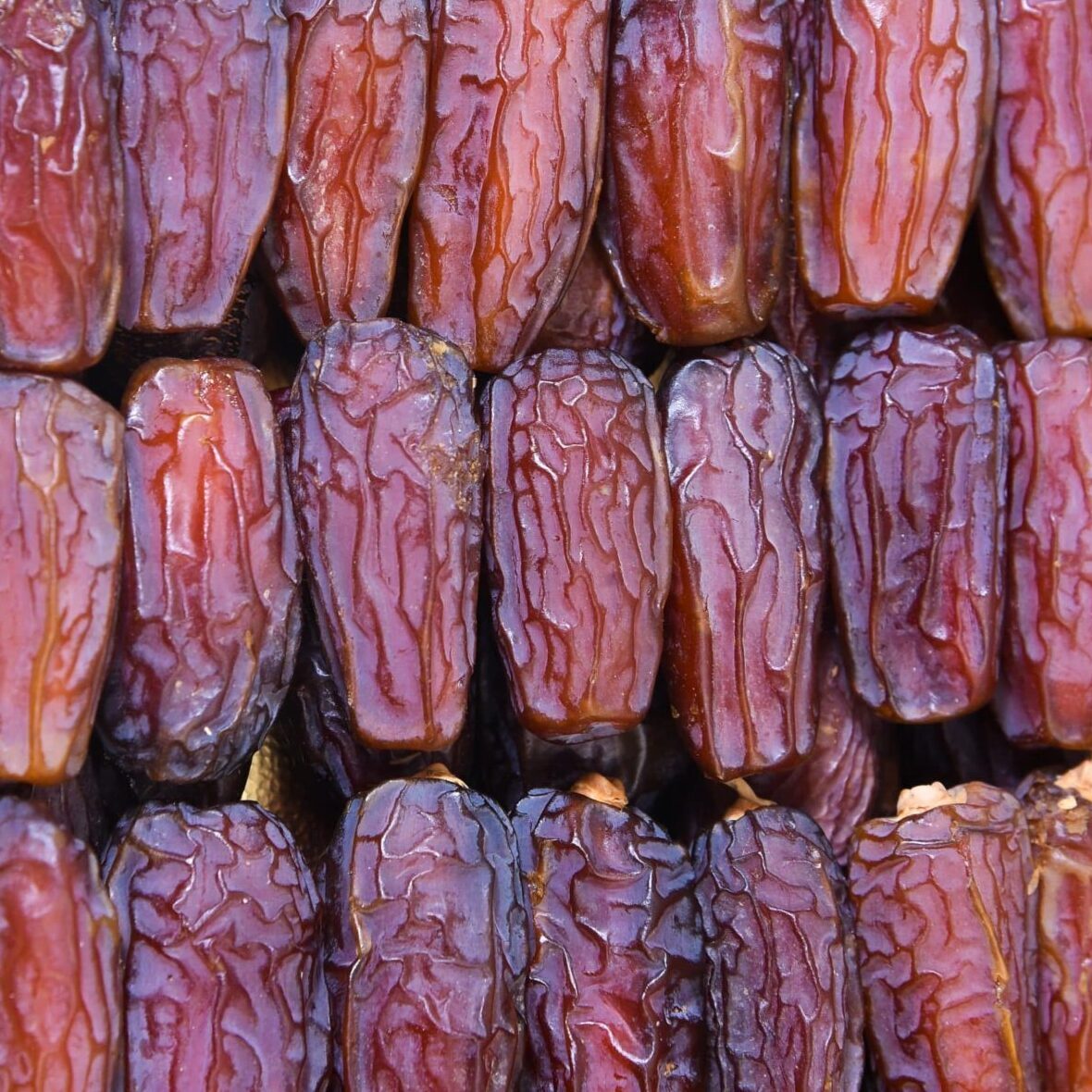 Medina Mabroom Dates – Premium Quality