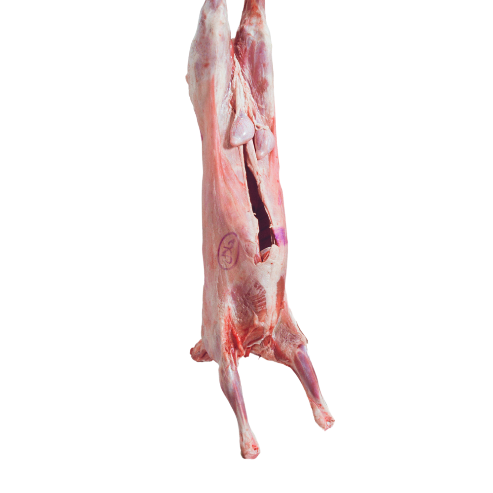 Live Animal Sales